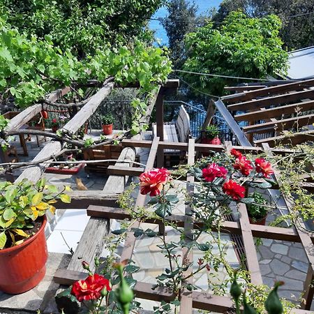 Katerina Fotopoulos Rooms & Apartments Agios Ioannis (Thessaly) Exterior foto