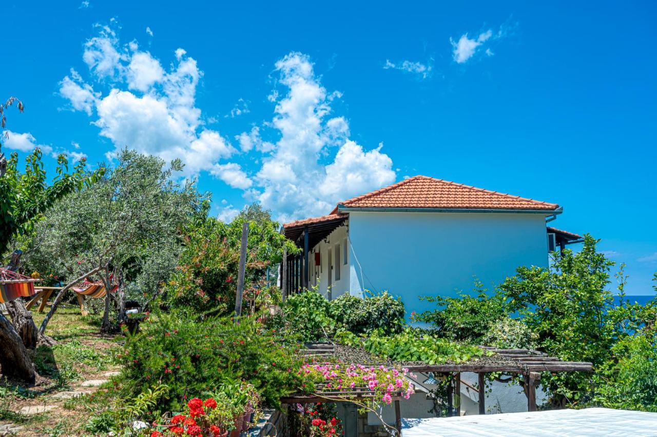 Katerina Fotopoulos Rooms & Apartments Agios Ioannis (Thessaly) Exterior foto