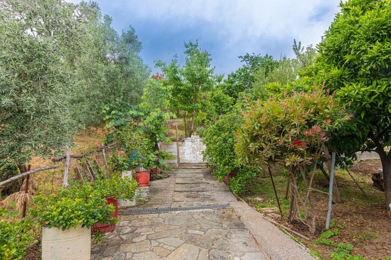 Katerina Fotopoulos Rooms & Apartments Agios Ioannis (Thessaly) Exterior foto