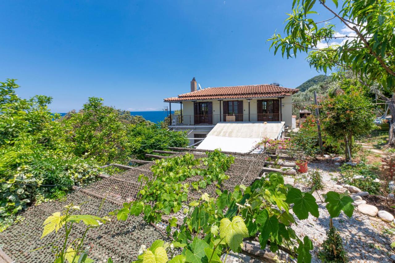 Katerina Fotopoulos Rooms & Apartments Agios Ioannis (Thessaly) Exterior foto