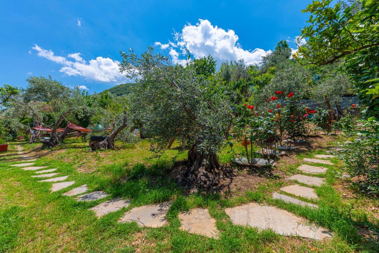 Katerina Fotopoulos Rooms & Apartments Agios Ioannis (Thessaly) Exterior foto