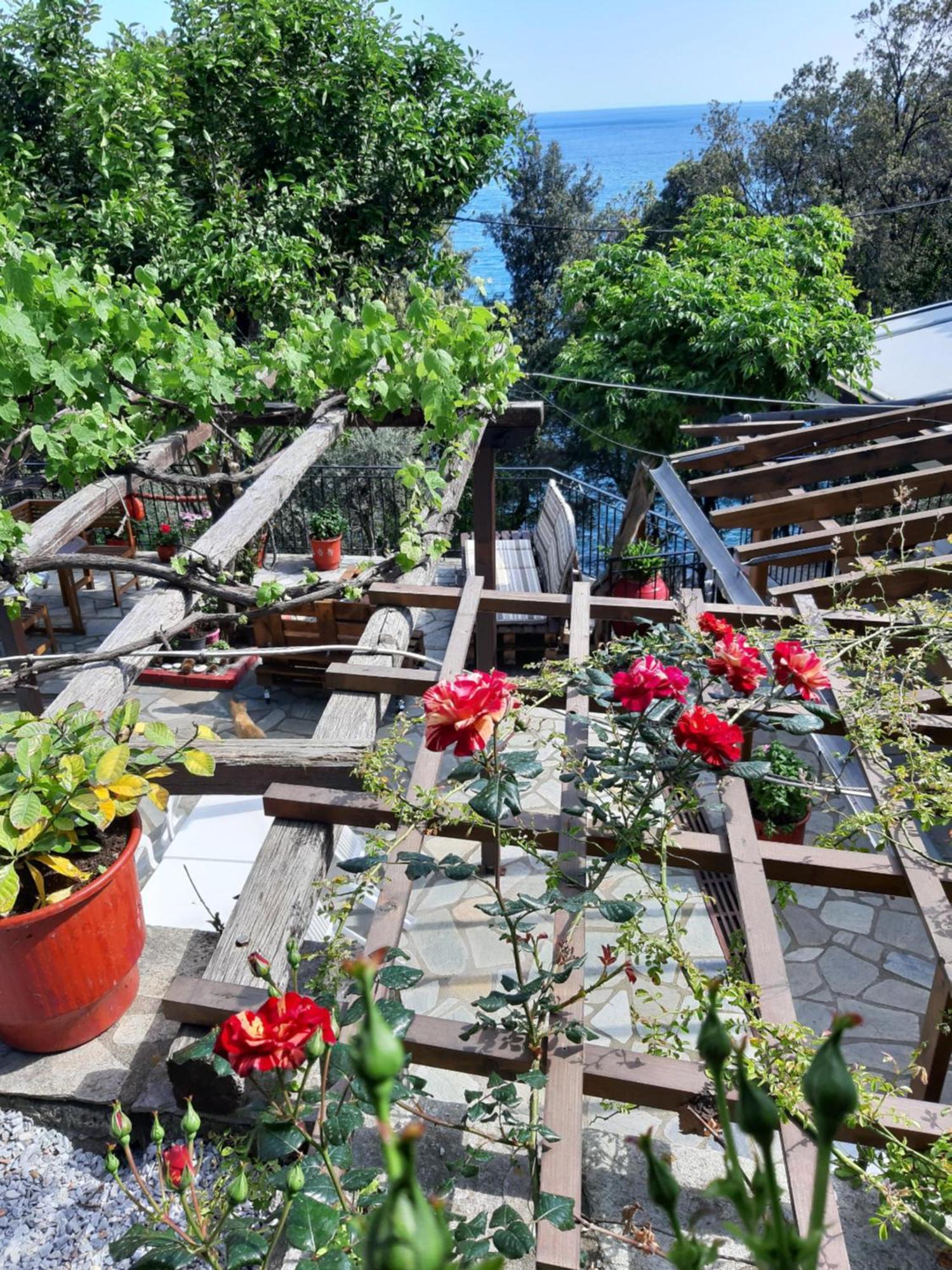 Katerina Fotopoulos Rooms & Apartments Agios Ioannis (Thessaly) Exterior foto