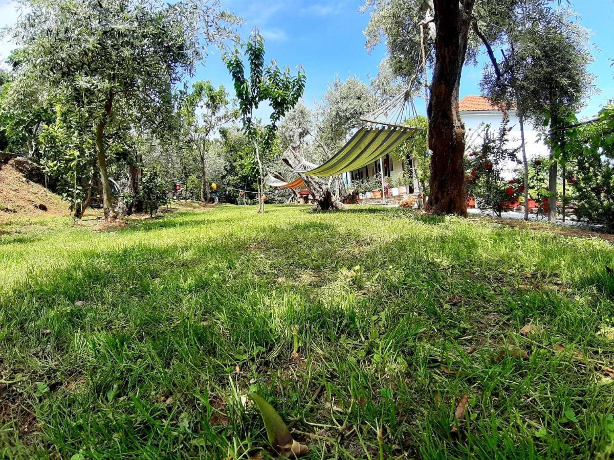 Katerina Fotopoulos Rooms & Apartments Agios Ioannis (Thessaly) Exterior foto